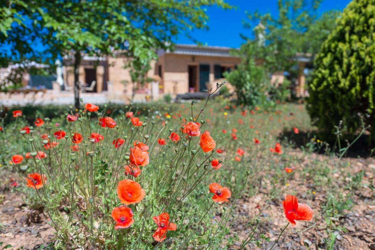 Ses Llegitimes Villa Marratxí Exterior photo